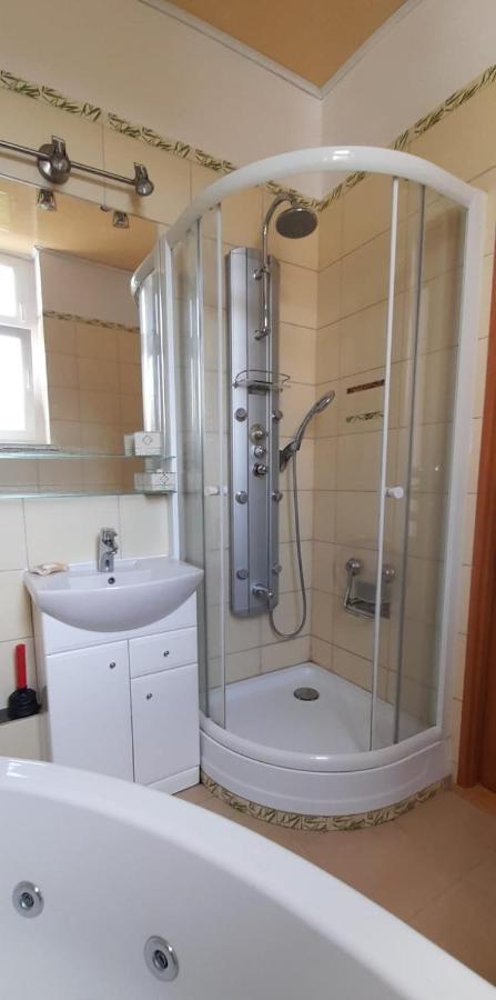 Apartament Kasztanowy Gliwice Exterior foto
